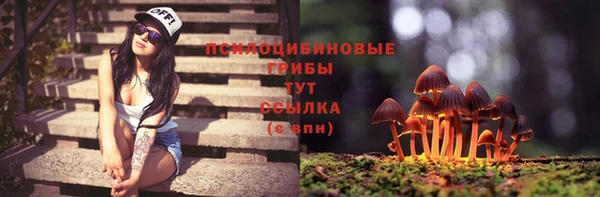 стаф Абаза