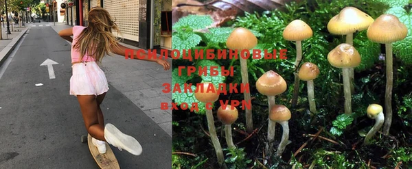 ECSTASY Алексин