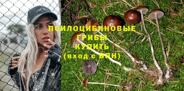 Альфа ПВП Алексеевка